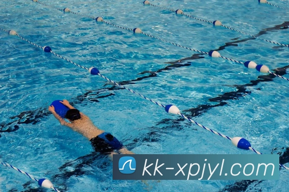 新葡京娱乐服务体系